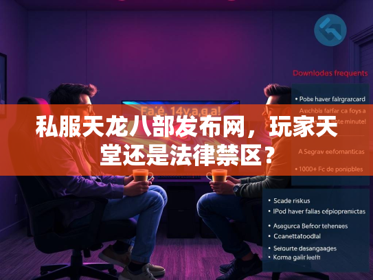 私服天龙八部发布网，玩家天堂还是法律禁区？  第3张