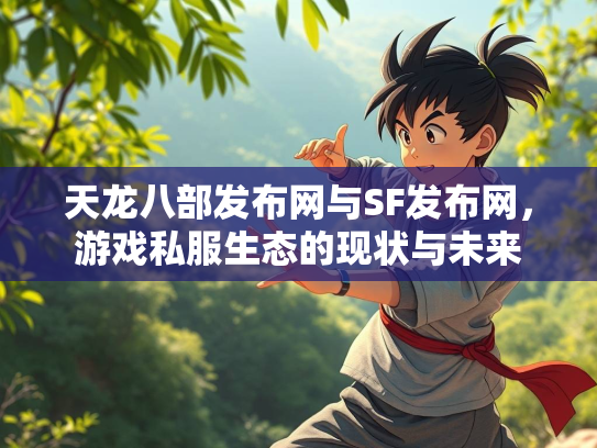 天龙八部发布网与SF发布网，游戏私服生态的现状与未来  第3张