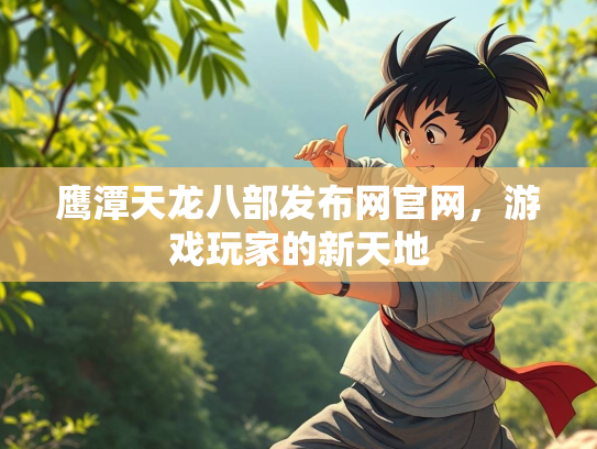 鹰潭天龙八部发布网官网，游戏玩家的新天地  第2张