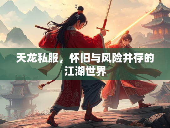 天龙私服，怀旧与风险并存的江湖世界
