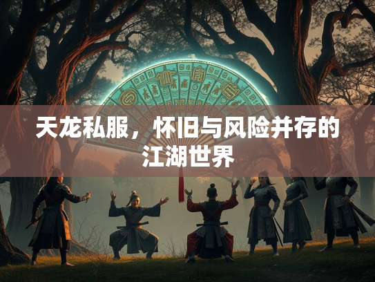 天龙私服，怀旧与风险并存的江湖世界