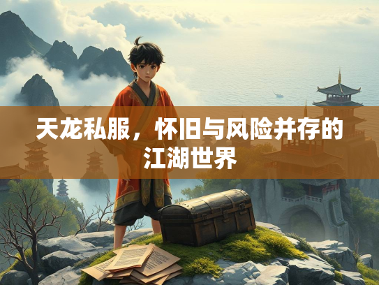 天龙私服，怀旧与风险并存的江湖世界