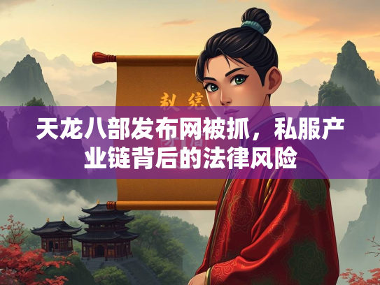 天龙八部发布网被抓，私服产业链背后的法律风险  第2张