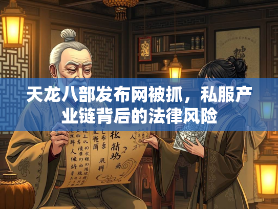 天龙八部发布网被抓，私服产业链背后的法律风险  第3张