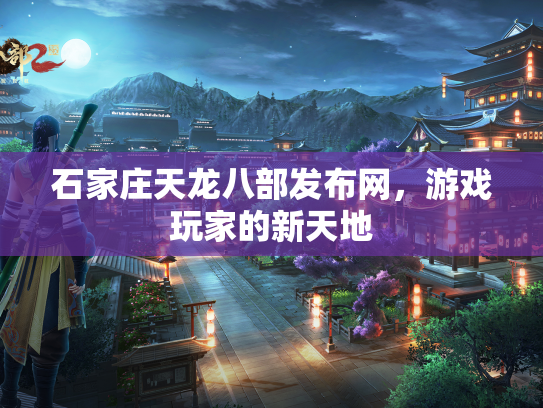 石家庄天龙八部发布网，游戏玩家的新天地  第2张