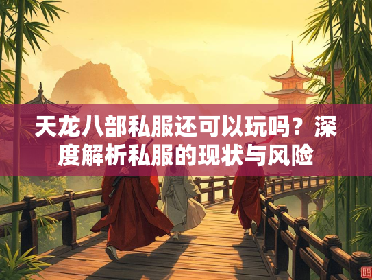 天龙八部私服还可以玩吗？深度解析私服的现状与风险  第4张