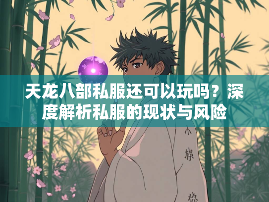 天龙八部私服还可以玩吗？深度解析私服的现状与风险