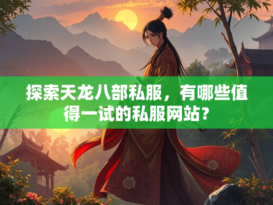 探索天龙八部私服，有哪些值得一试的私服网站？  第2张