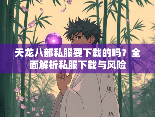 天龙八部私服要下载的吗？全面解析私服下载与风险  第5张