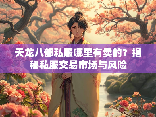 天龙八部私服哪里有卖的？揭秘私服交易市场与风险  第2张