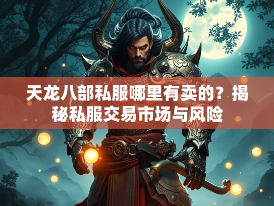 天龙八部私服哪里有卖的？揭秘私服交易市场与风险