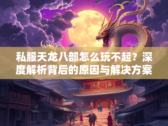 私服天龙八部怎么玩不起？深度解析背后的原因与解决方案  第4张