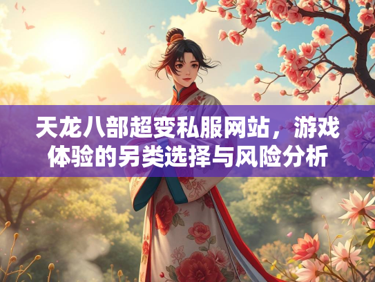 天龙八部超变私服网站，游戏体验的另类选择与风险分析