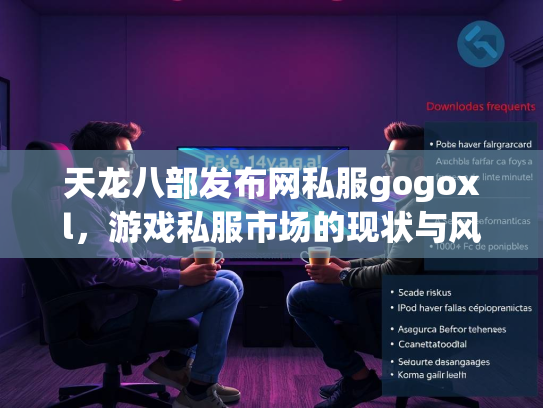 天龙八部发布网私服gogoxl，游戏私服市场的现状与风险