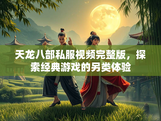 天龙八部私服视频完整版，探索经典游戏的另类体验